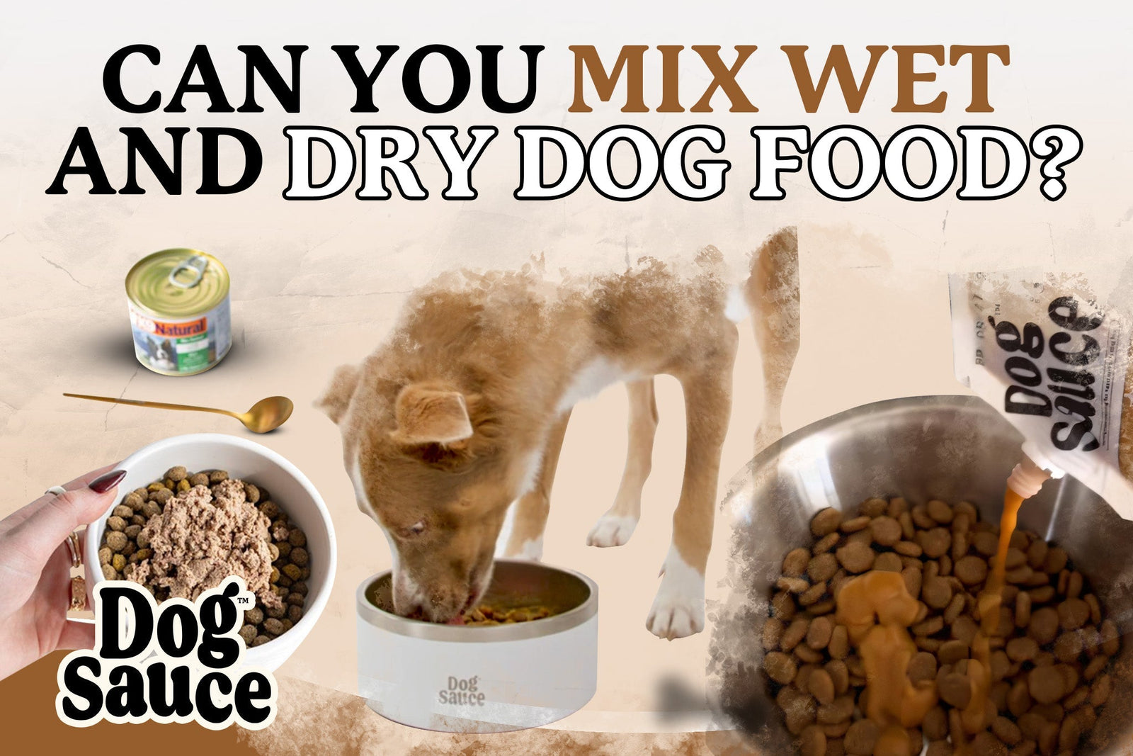 Can You Mix Wet And Dog Food
