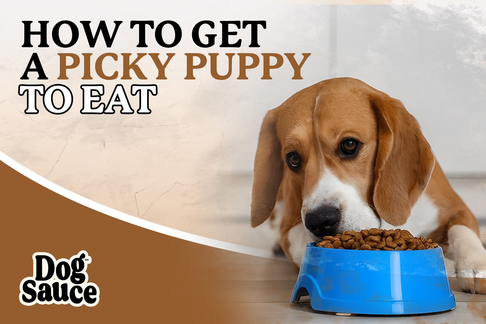 How To Get a Picky Puppy to Eat