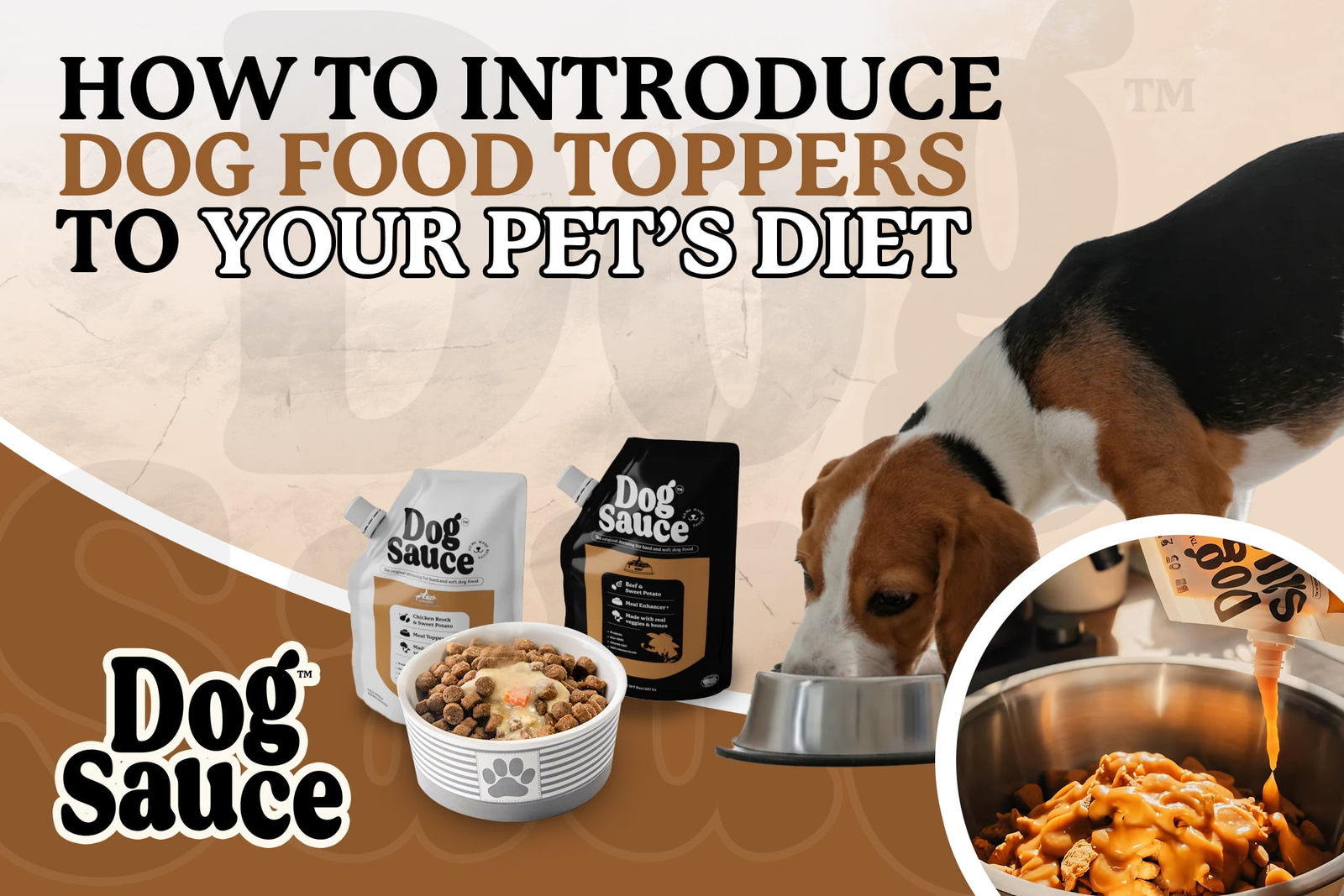 How to Introduce Dog Food Toppers to Your Pet’s Diet