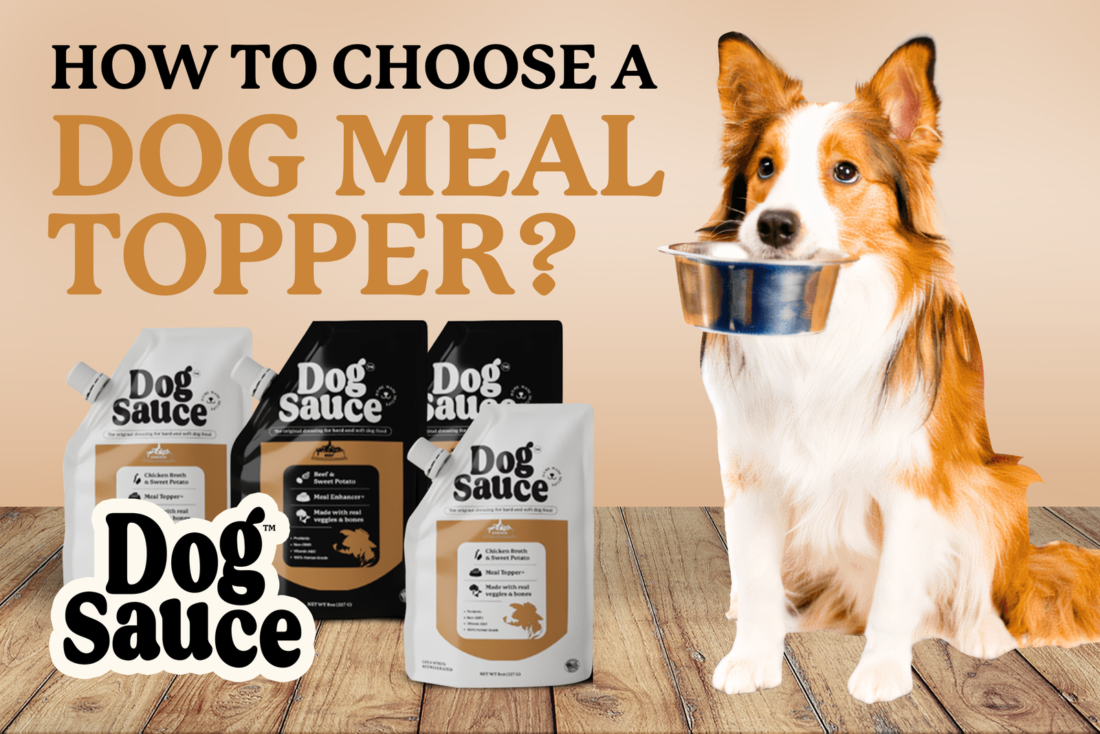 How to choose a dog meal topper