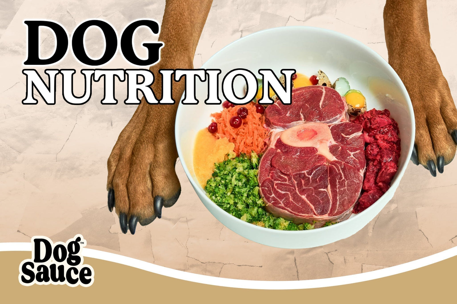 The Ultimate Guide to Dog Nutrition