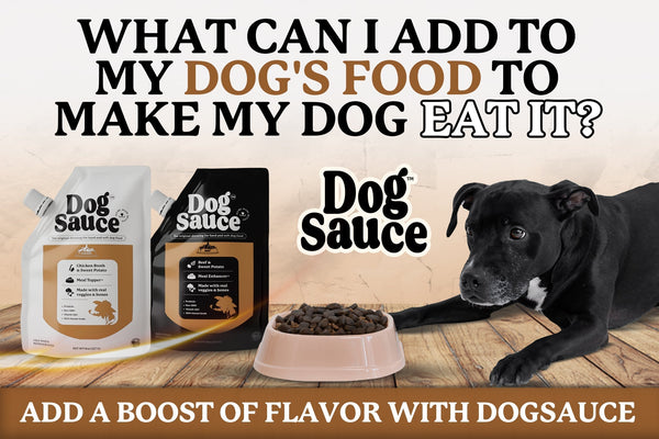 What Can I Add to Dog Food to Make My Dog Eat It? Try DogSauce!