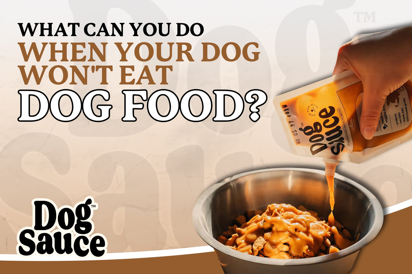 What Can You Do When Your Dog Won't Eat Dog Food?