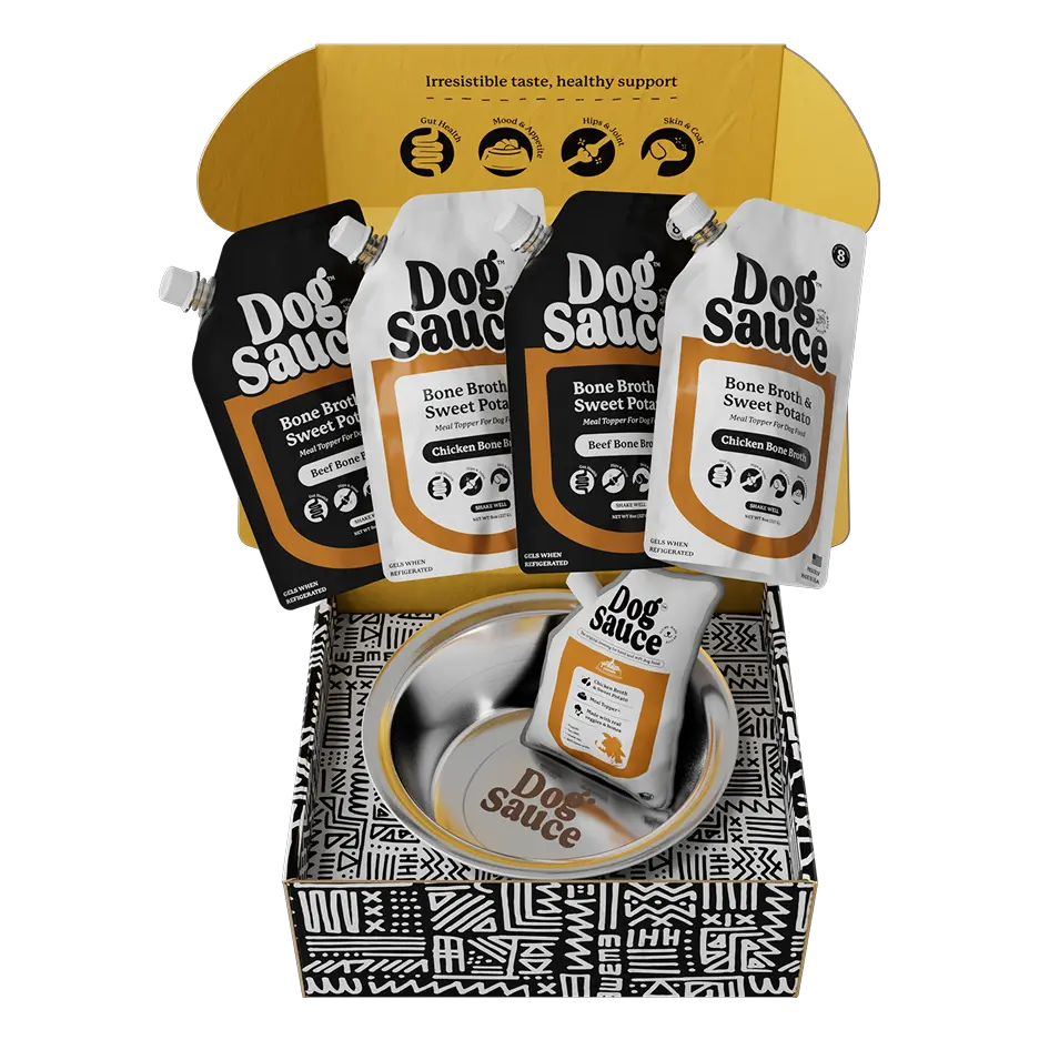 Sauce Box DogSauce