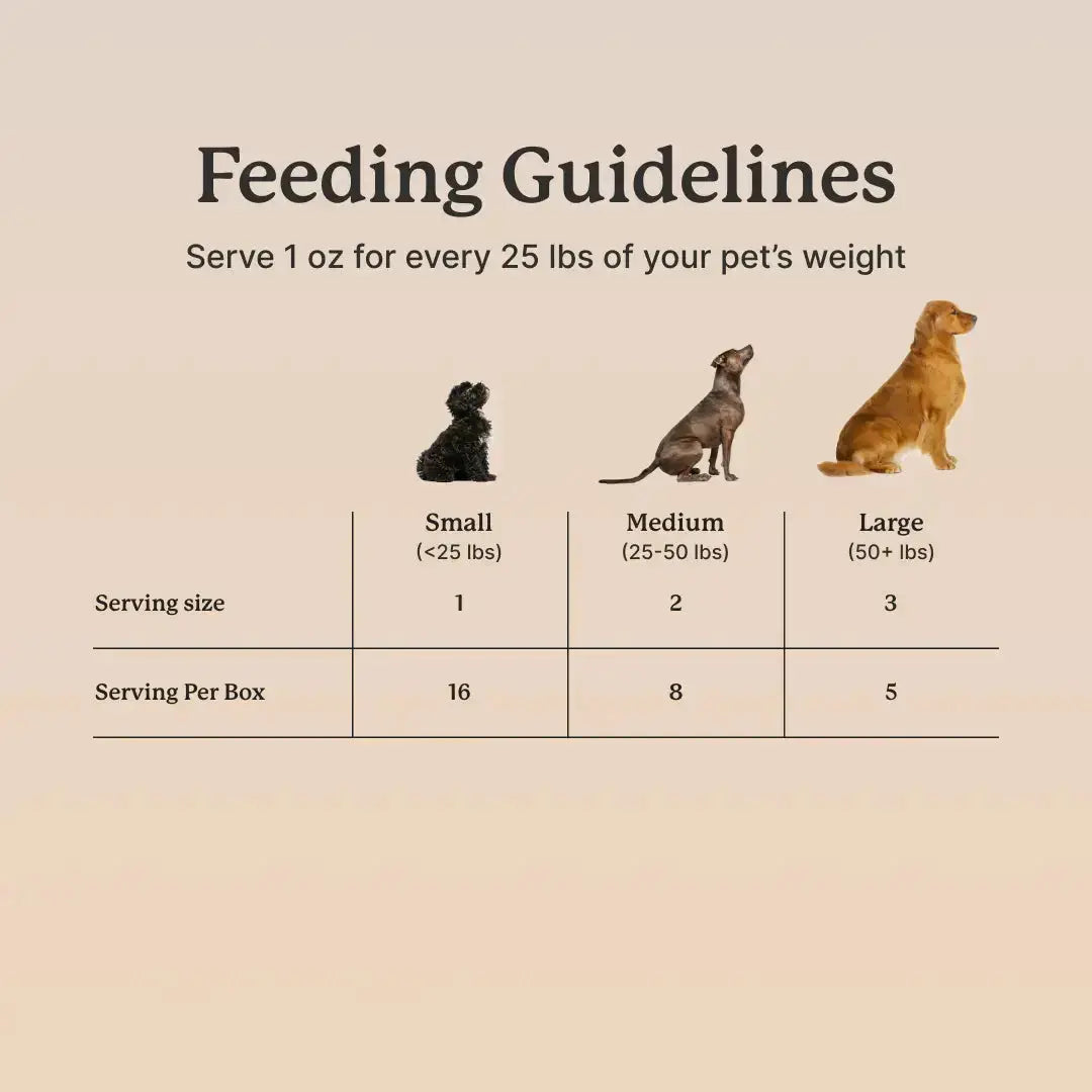 DogSauce Prebiotic Meal Topper For Dogs DogSauce