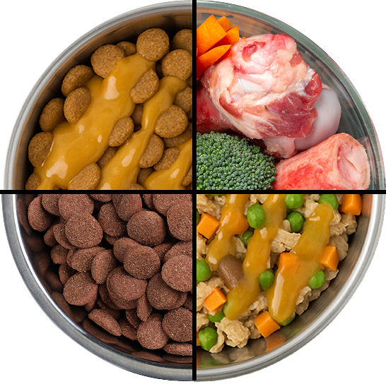 DogSauce Sweet Potato and Bone Broth Gourmet Meal Topper for Dogs DogSauce