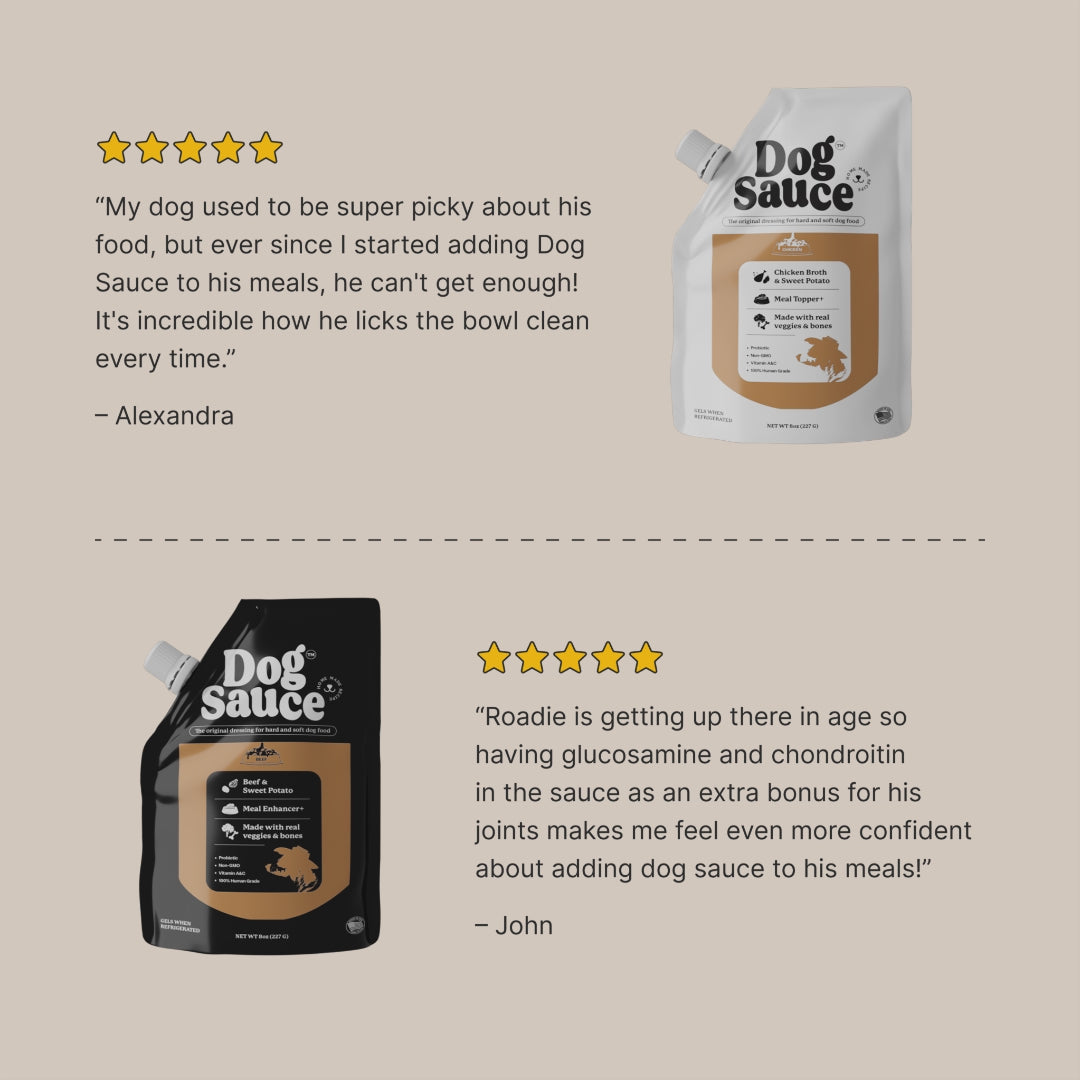 dogsauce meal topper feedback
