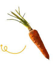 Carrots