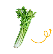 Celery
