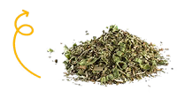 Dried Oregano
