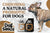 choosing a natural probiotic for dogs