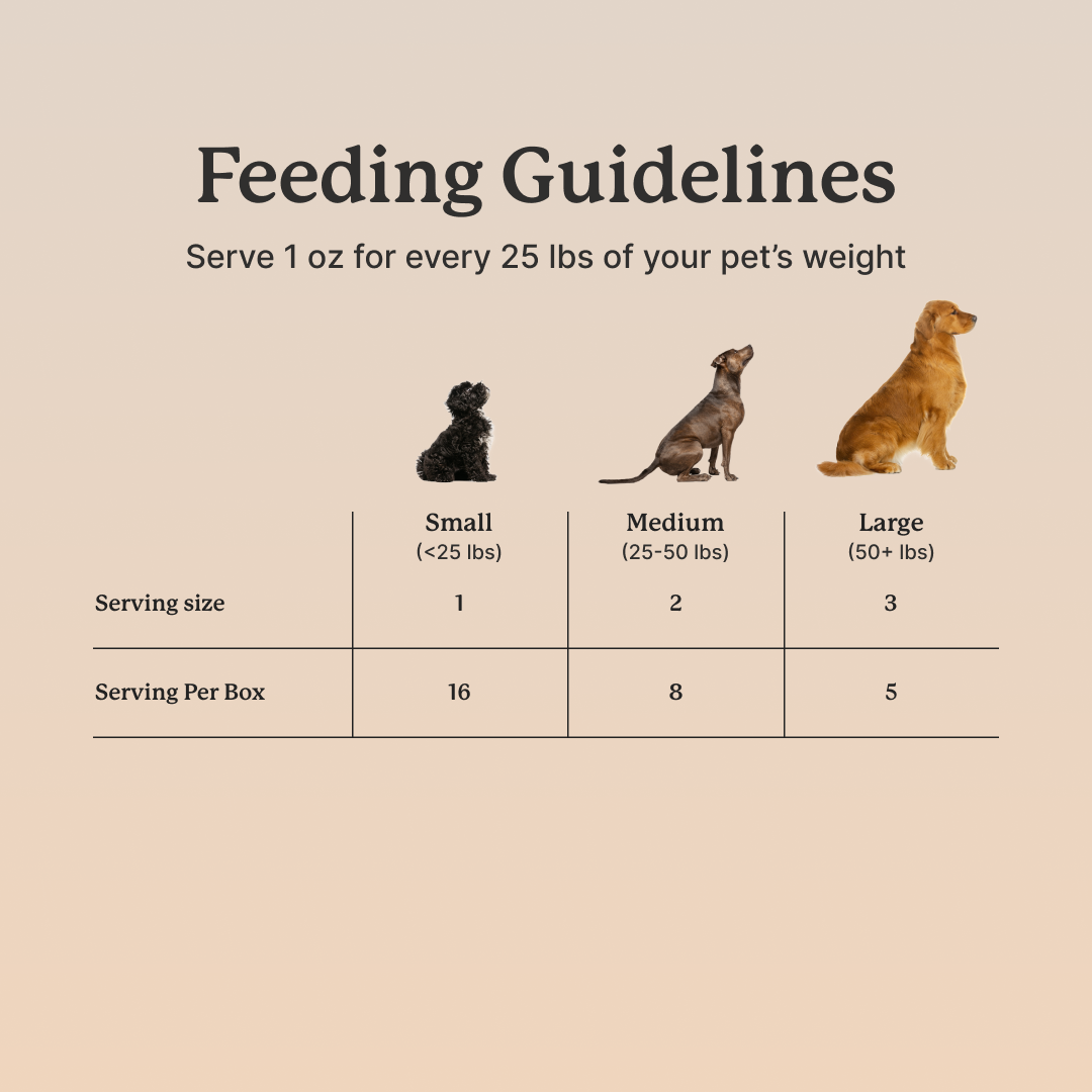 DogSauce Bone Broth For Dogs