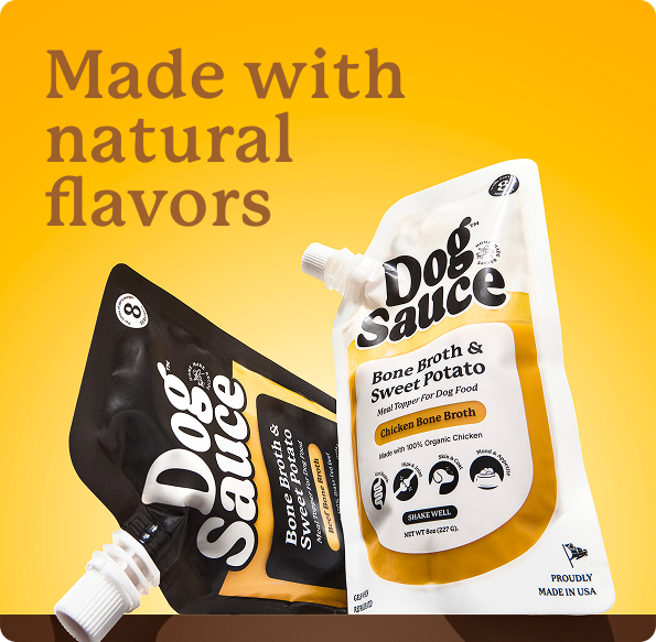 Ultimate Guilt-Free Meal Topper DogSauce