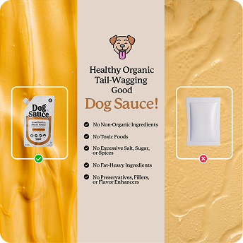 Award Winning DogSauce Food Topper