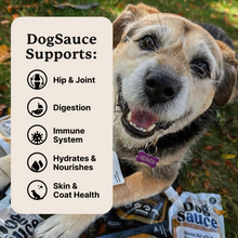 DogSauce Box ( 8 Pouches ) DogSauce