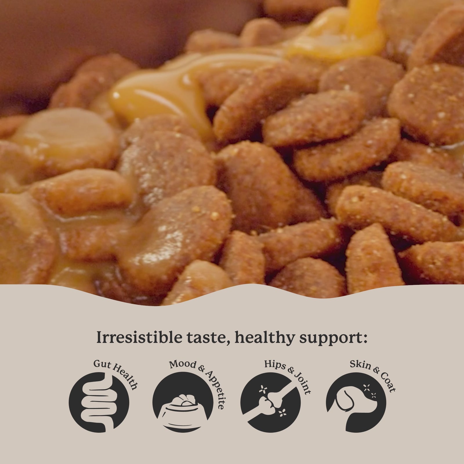 dogsauce meal topper chicken and beef