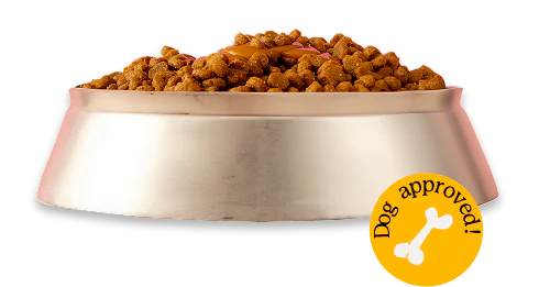Dog Food Bowl