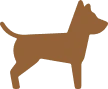 Dog Sauce